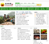 中国农村网