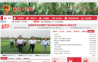 乐陵市政府网