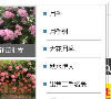 btchina电影联盟