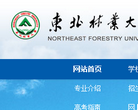 东北林业大学招生信息网