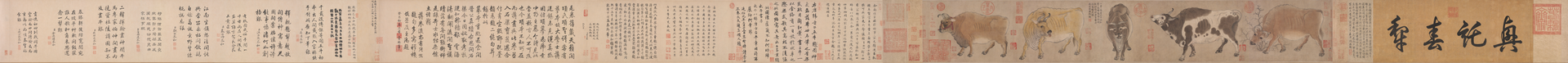 五牛图（韩滉）