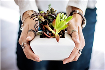 女子定闹钟浇水精心养盆栽半年发现是假的：全是塑料