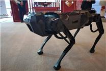 国产Panda5机械狗亮相北京冬奥！跟波士顿机器狗开源有关？网友释疑