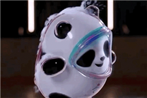 冰墩墩 从查无此人到全民宠儿