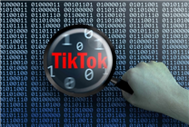 英国议会官方号关闭TikTok账户：刚注册才6天