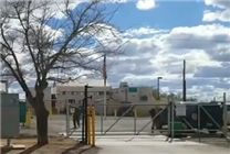 为了一夜暴富 这群美国人爱上了碰瓷蜀黍