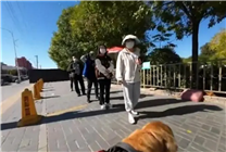 导盲犬带主人做核酸插队后自觉重排引网友共鸣：吐槽爱插队人不如狗狗
