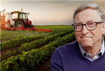 美国最大私人地主 大量买地引质疑！比尔盖茨回应：只为提高产量