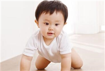 女子网购奶粉4个月吃剩半罐退货：被店家吐槽似乞丐